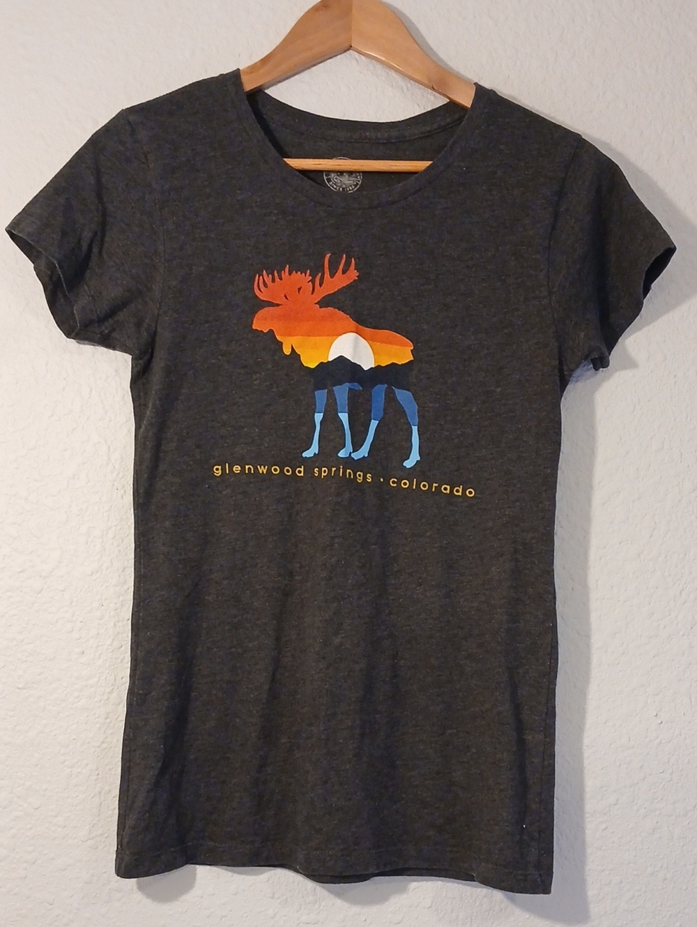 Glenwood Springs Moose Graphic Tee - Charcoal with Orange & Blue